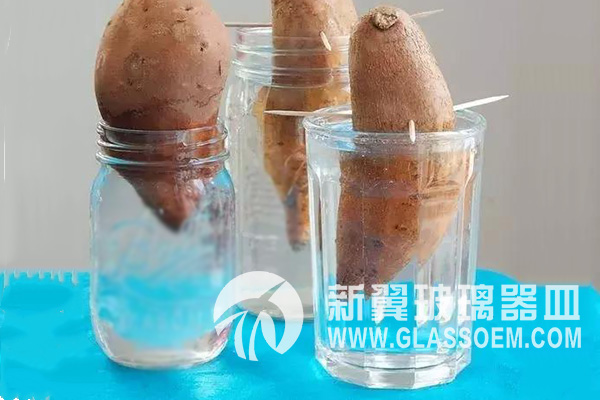 環(huán)保玻璃瓶